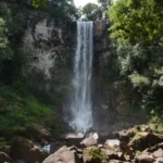 Misiones: Hermoso salto de agua que está en medio de una selva